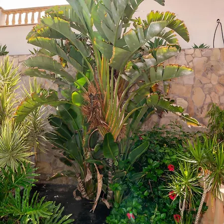 ヴィラ V8 カレタ・デ・フステ