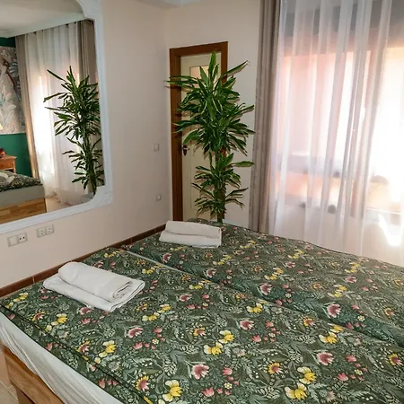 ヴィラ V8 カレタ・デ・フステ