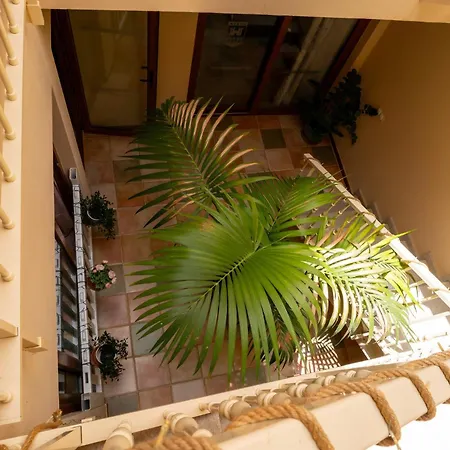 V8 カレタ・デ・フステ