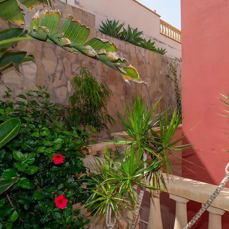 V8 كاليتا ذي فوستي