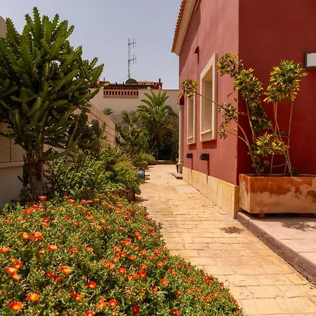 V8 فيلة كاليتا ذي فوستي