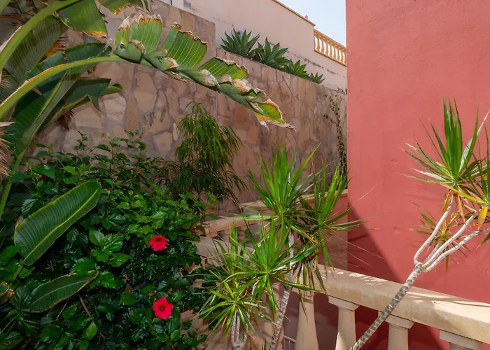 V8 كاليتا ذي فوستي