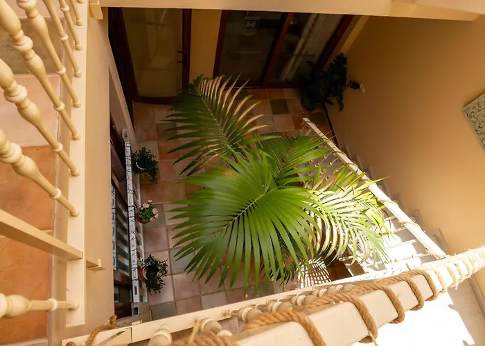 V8 كاليتا ذي فوستي